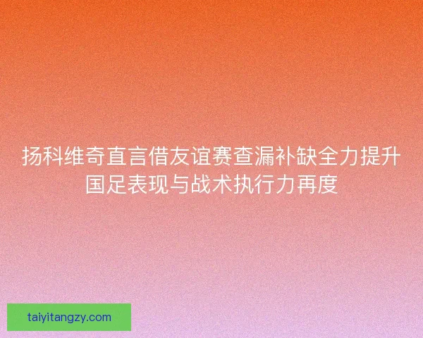 扬科维奇直言借友谊赛查漏补缺全力提升国足表现与战术执行力再度